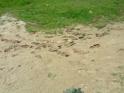 AulaSurURJC: 2013-03-31