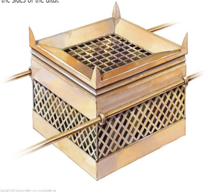 My Image 27