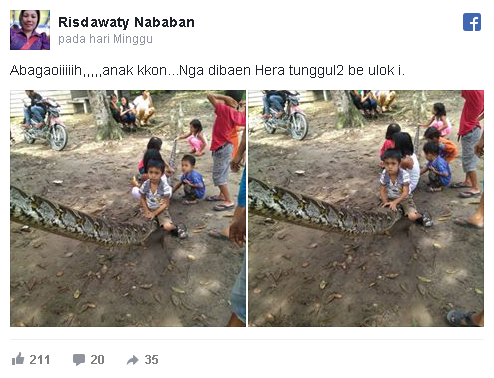 Duel Dengan Ular Piton Sebesar Ini Pria Ini Hal Mengerikan Di Tangannya Duel Dengan Ular Piton Sebesar Ini Pria Ini Hal Mengerikan Di Tangannya