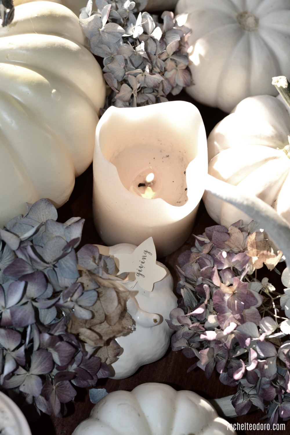 White Turkey Centerpiece : White pumpkin thanksgiving centerpiece rachel teodoro