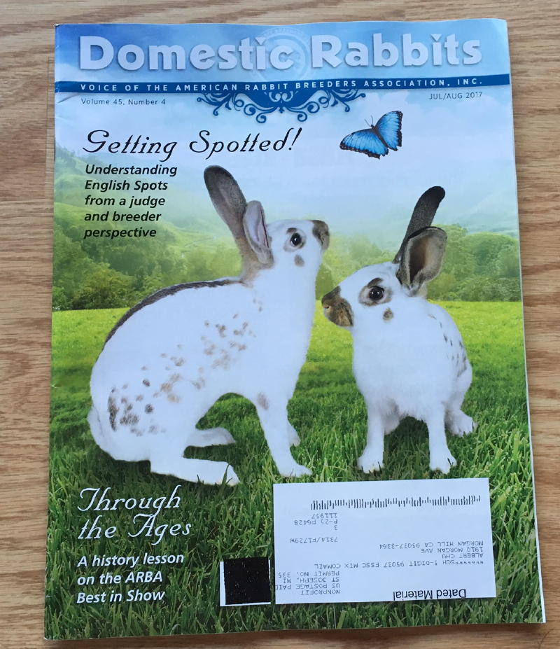 Northern California Angora Guild Remember When Best In Show at the