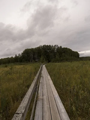 Southeastern Finland road trip: Wooden boardwalk at Siikalahti Nature Reserve in Eastern Finland