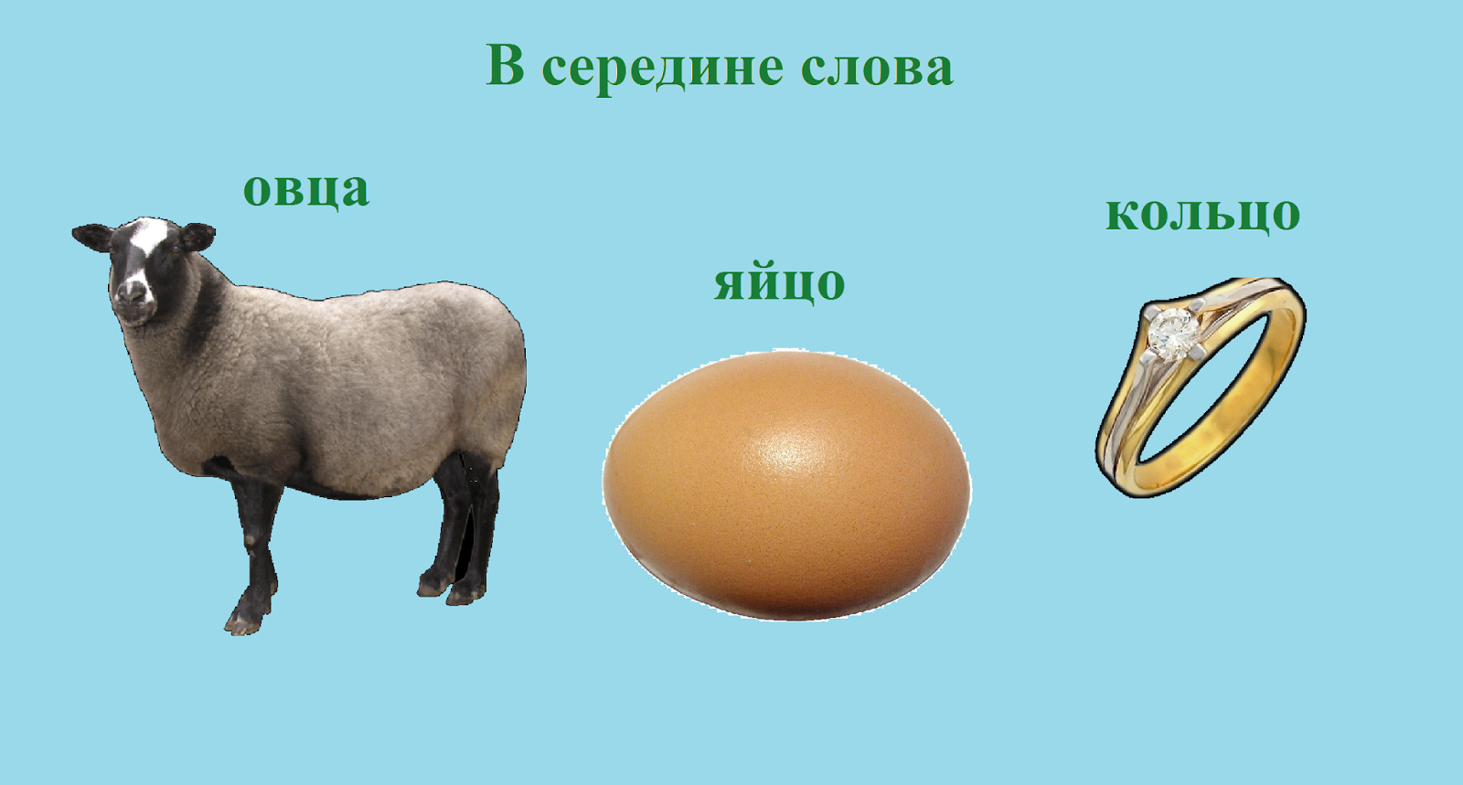 звук ц в слове овца. составить слова из слова барашек. игра слова из слова. составить слова из слова барашек. слово овца.