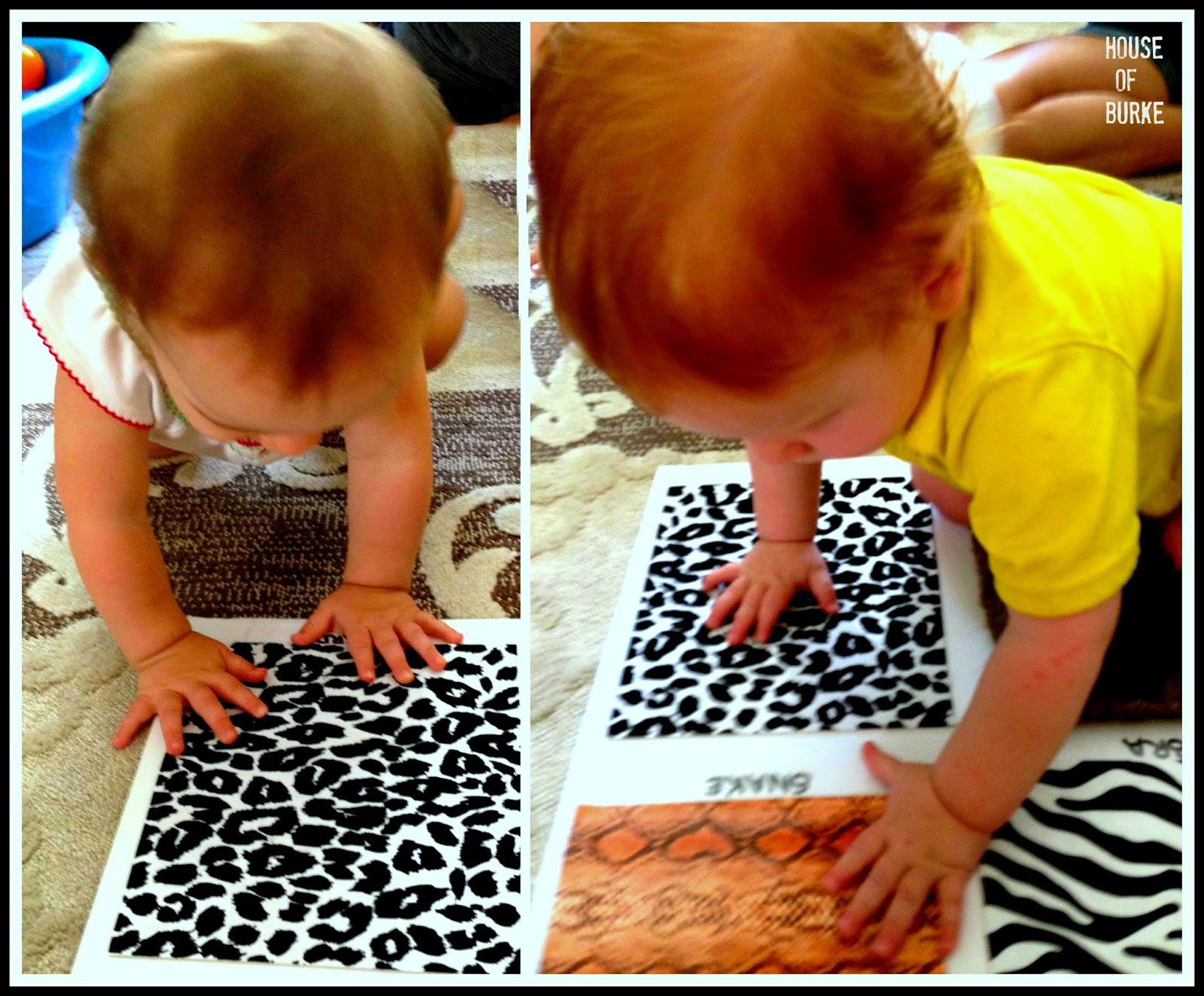 House of Burke: Animal Texture Board: Teaching Baby About Animals Through  Sensory Play