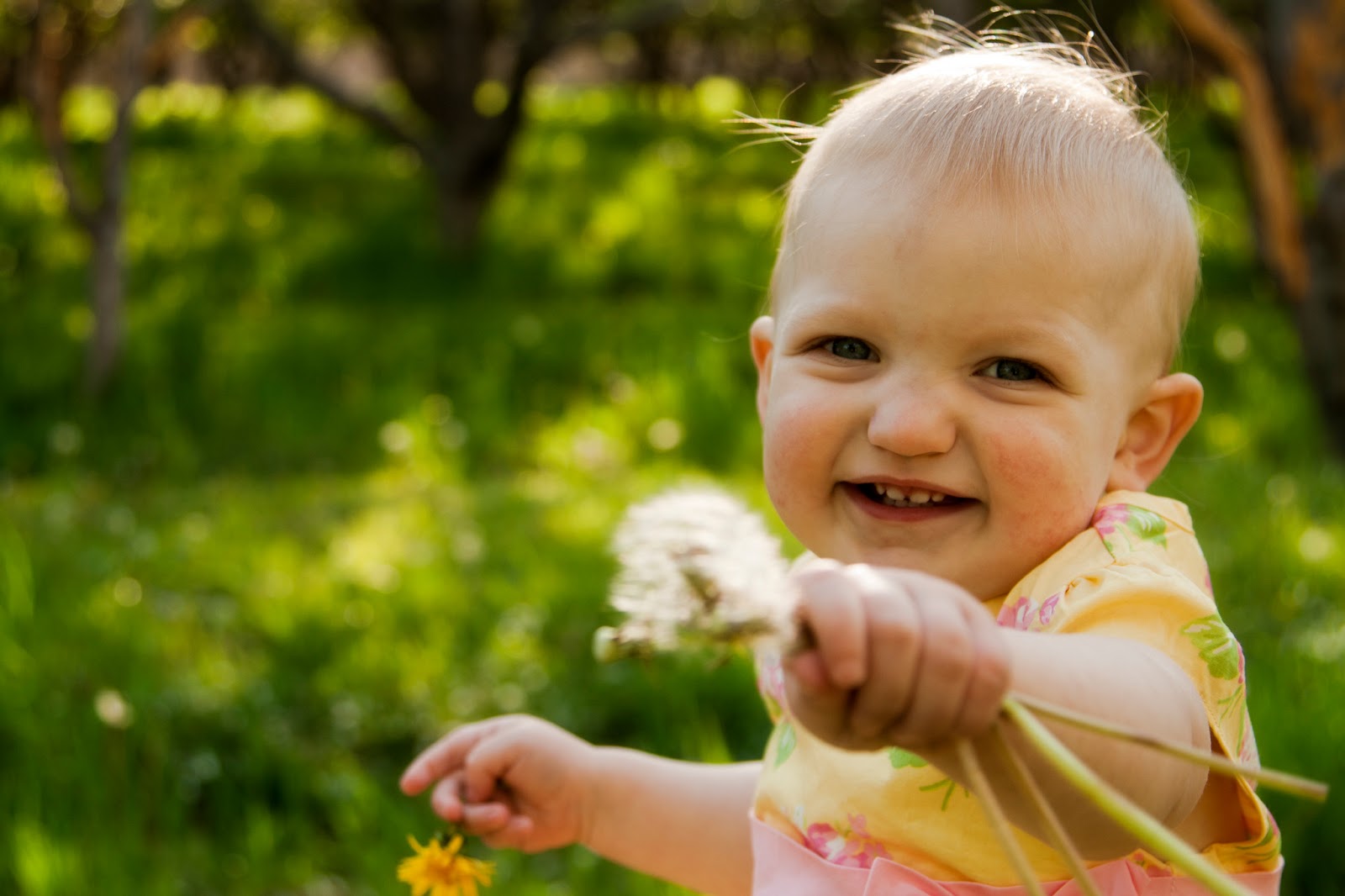 abby keele photography: Utah County Picture Locations