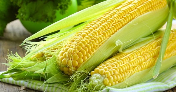 Khasiat Jagung Rebus / Apakah khasiat jagung pada kesihatan badan