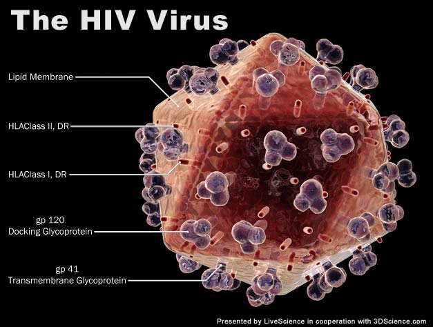 Dunia Keperawatan Satuan Acara Penyuluhan Sap Hiv Aids