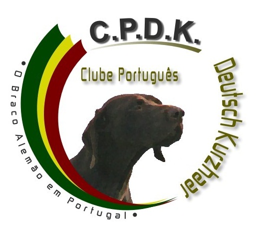 Resultado de imagem para cpdk