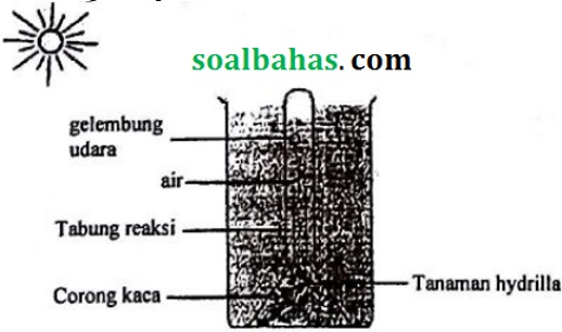 soal ipa terpadu smp