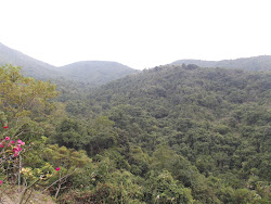 View from Shun mon Springs