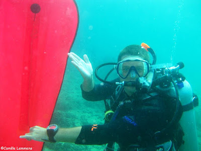 The Six P’s and Your PADI IDC
