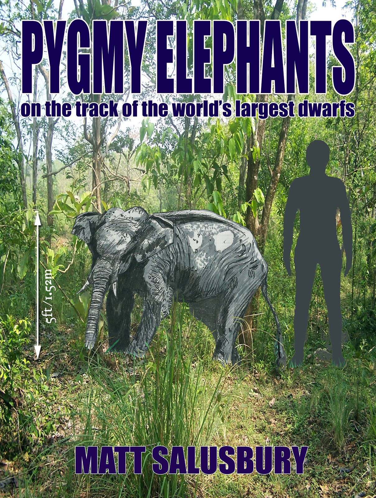Pygmy Elephants the book January 2013