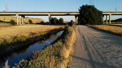 Parque Lineal, Real Canal Manzanares, Excursiones, Manzanares, Madrid, Pajareo