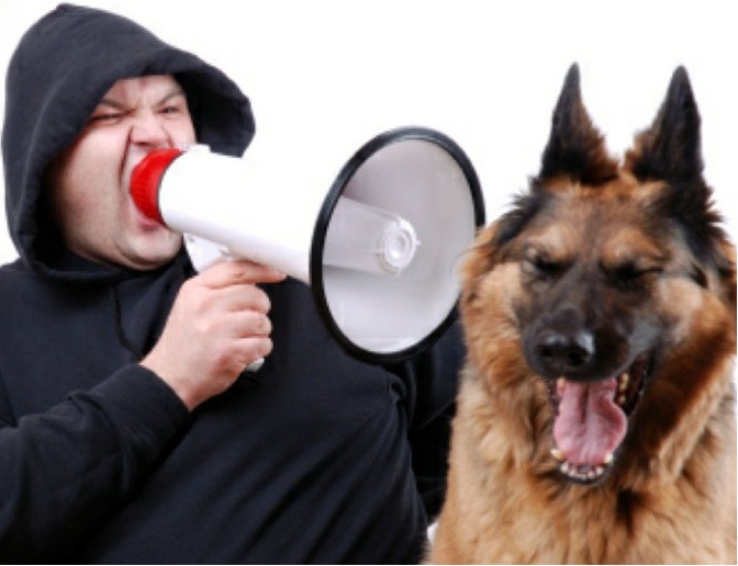 Barking Dog Problem Neighbor Barking Dog Problem Neighbor