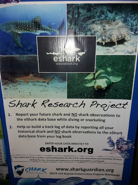 Blue View Divers is een Shark Guardian Centre Foto van een folder over het Shark Research Project (haai onderzoek project)