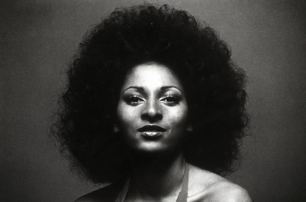 Pam Grier's Afro