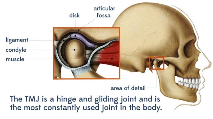 TMJ DISORDERS: Malpractice and the Orthodontist