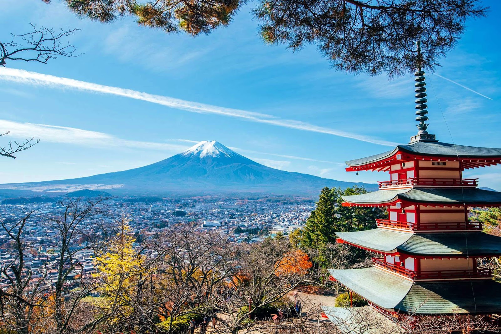 新倉山淺間公園11月紅葉賞楓