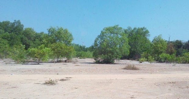 SHIN PROPERTY TANAH SELUAS 5.06 EKAR TELAH MENDAPAT KEBENARAN