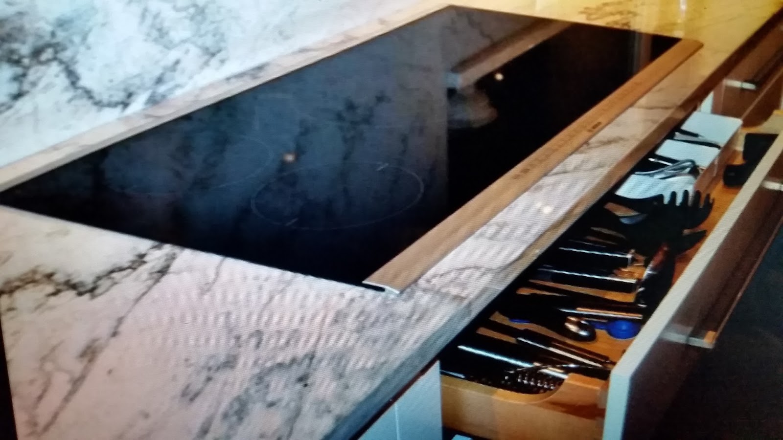 ColorScapes Professional Painting Drop In Induction Cooktop by Bosch