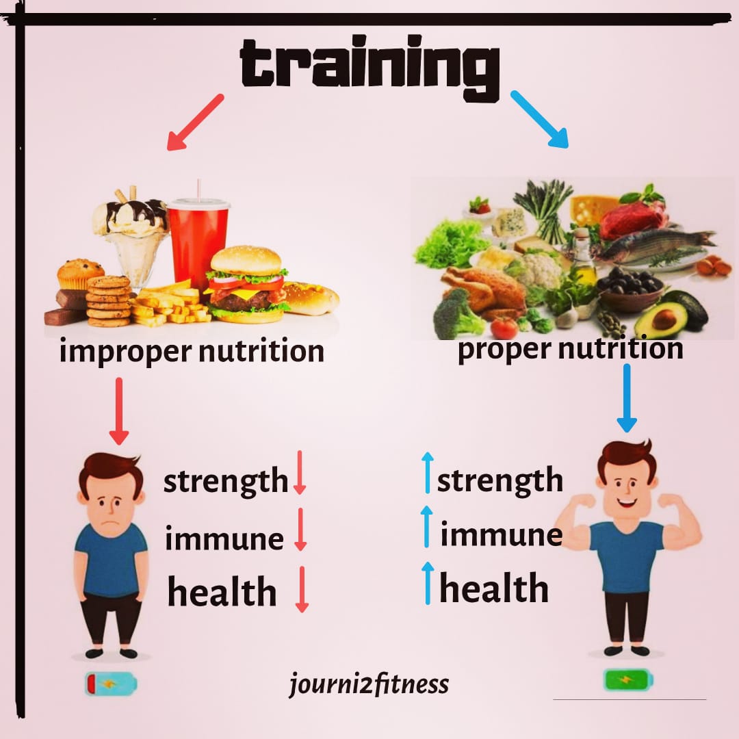 Why Nutrition is important?