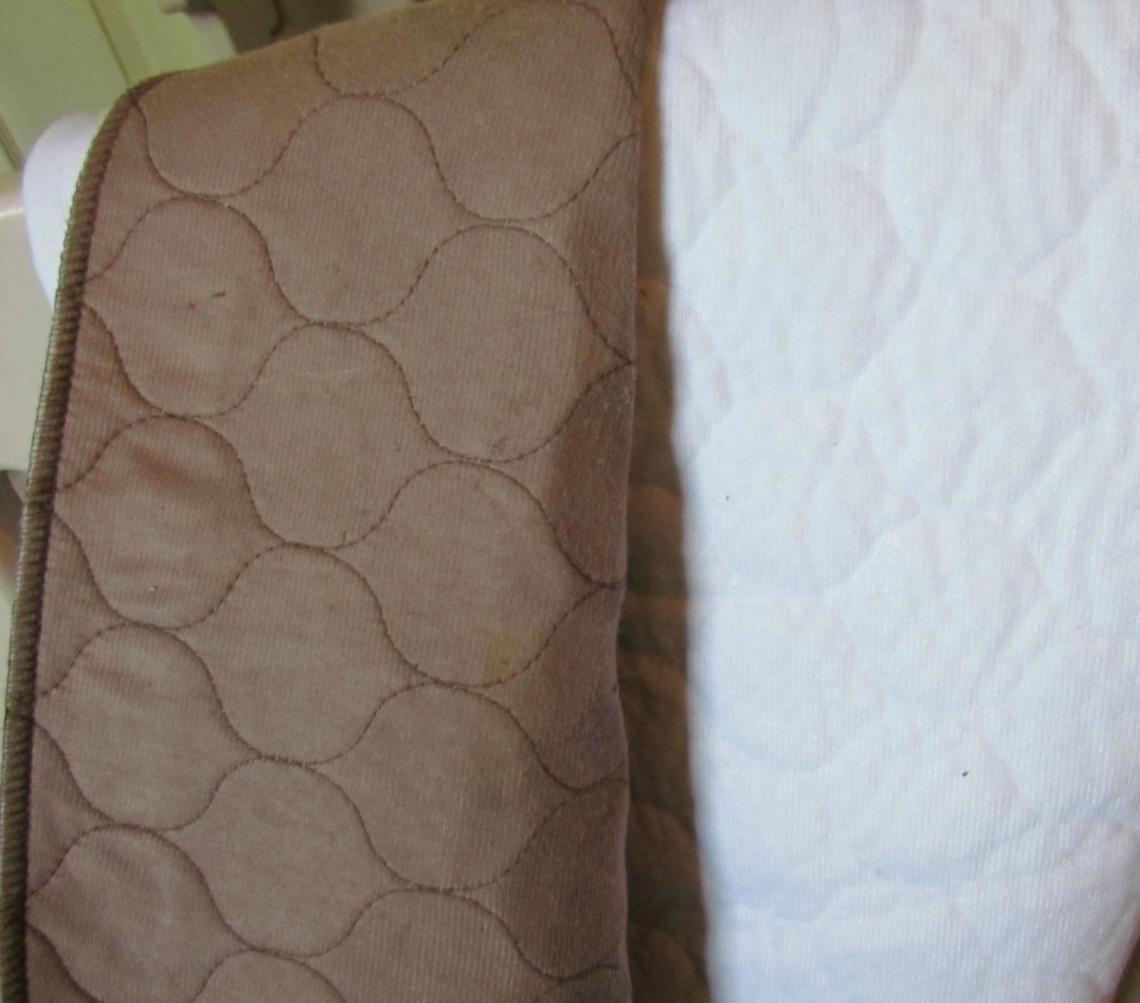 Growing Puppies Virginia Schnoodle Breeder Hypoallergenic Dogs Whelping Pads...Newborn