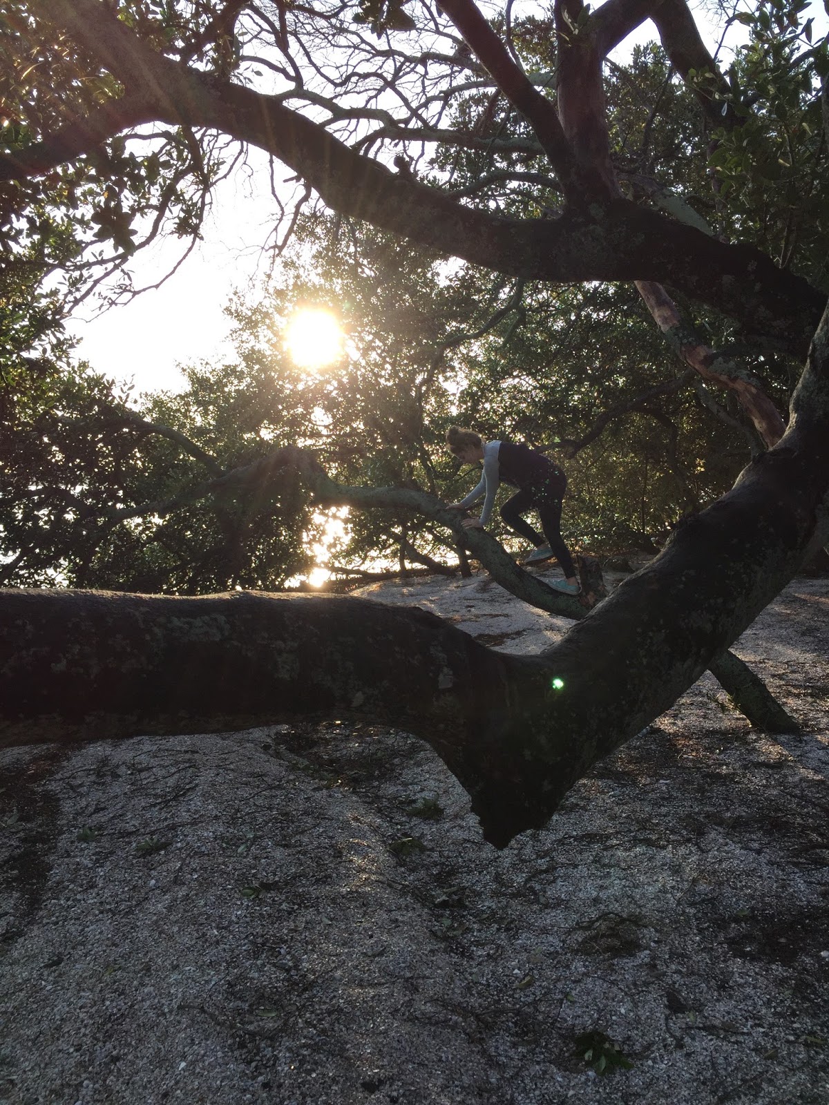 Boy Scout Island Birthday Camping birkeland life