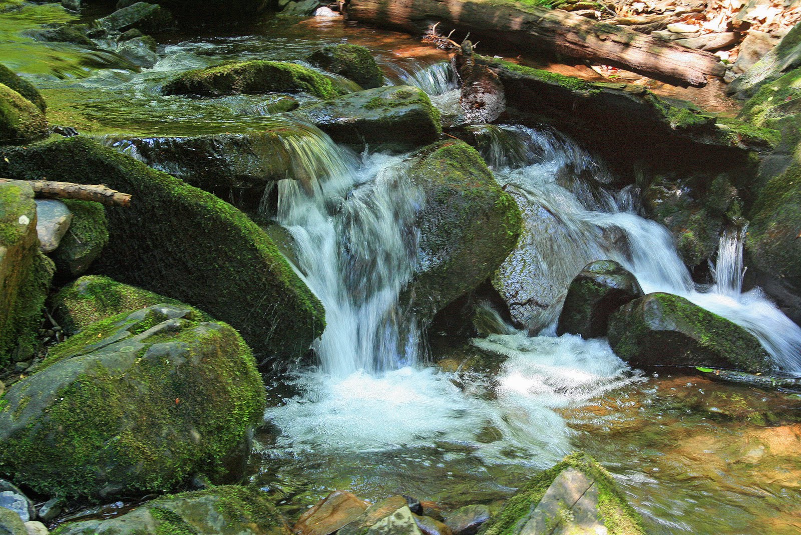 Goan s On Pennsylvania Waterfalls goan-s-on-pennsylvania-waterfalls