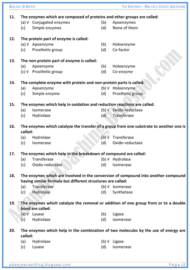 essay question on enzymes essay question on enzymes