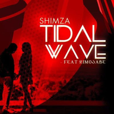 DJ Shimza - Tidal Wave (feat. Kimosabe) 2017 | Download