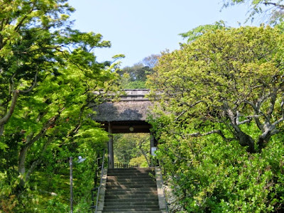 東慶寺の新緑