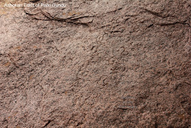 Ashokan Edict of Gavimath, Palki Gundu