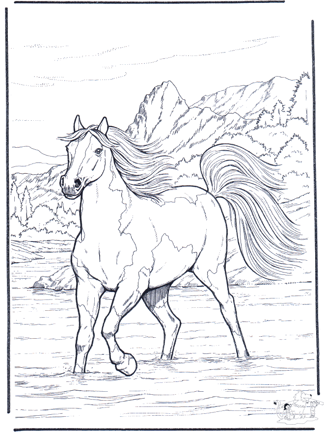 Cavalo Marinho Desenho Para Colorir - Ultra Coloring Pages
