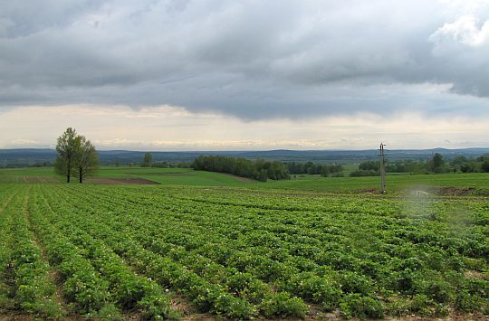 Południowa cześć Gór Świętokrzyskich widoczna z Kakonina.