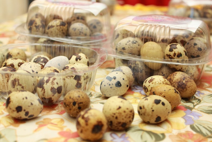 Cara Membuat Telur Asin Burung Puyuh Dan Peluang Usahanya Peluang Usaha Cara Membuat Telur Asin Burung Puyuh Dan Peluang Usahanya Peluang Usaha