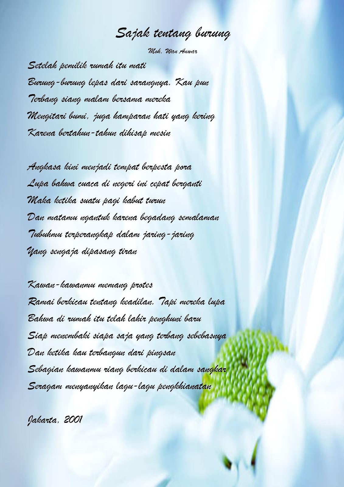 Puisi Tentang Hewan Peliharaan Burung 1001 Kumpulan