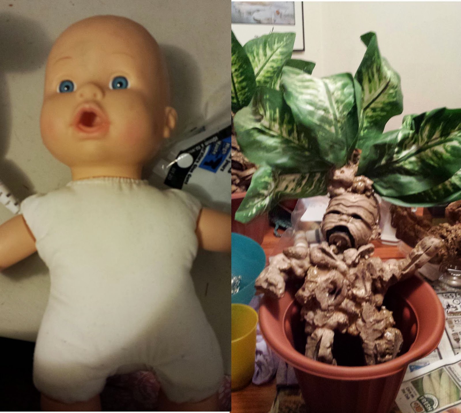 The Pumpkin Carver Mandrake Roots