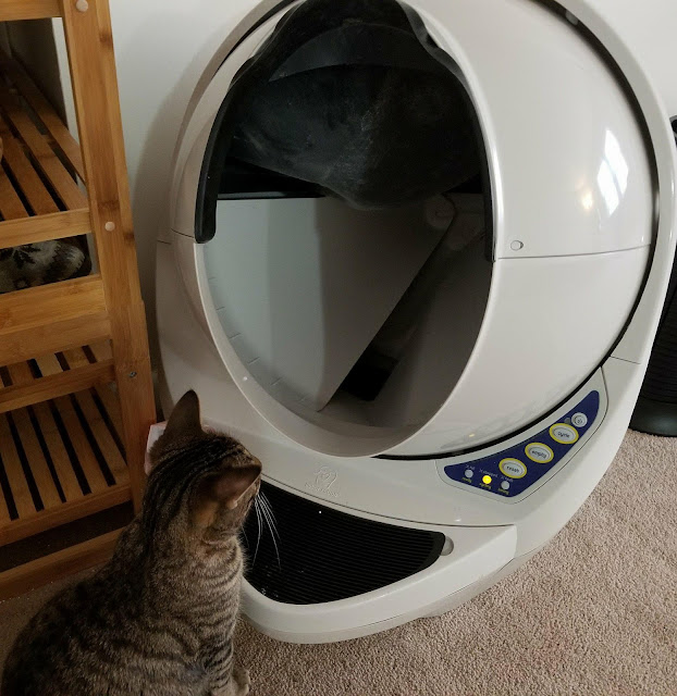 Litter Robot Open Air Review { Smile & Carry On }