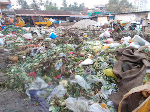 Biggest Garbage dump in Kochi ?