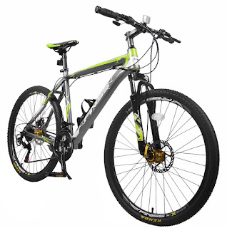 Merax Finiss Mountain Bike, Aluminum, 21 Speeds, Disc Brakes, Fashion Gray/Green, image, review features & specifications