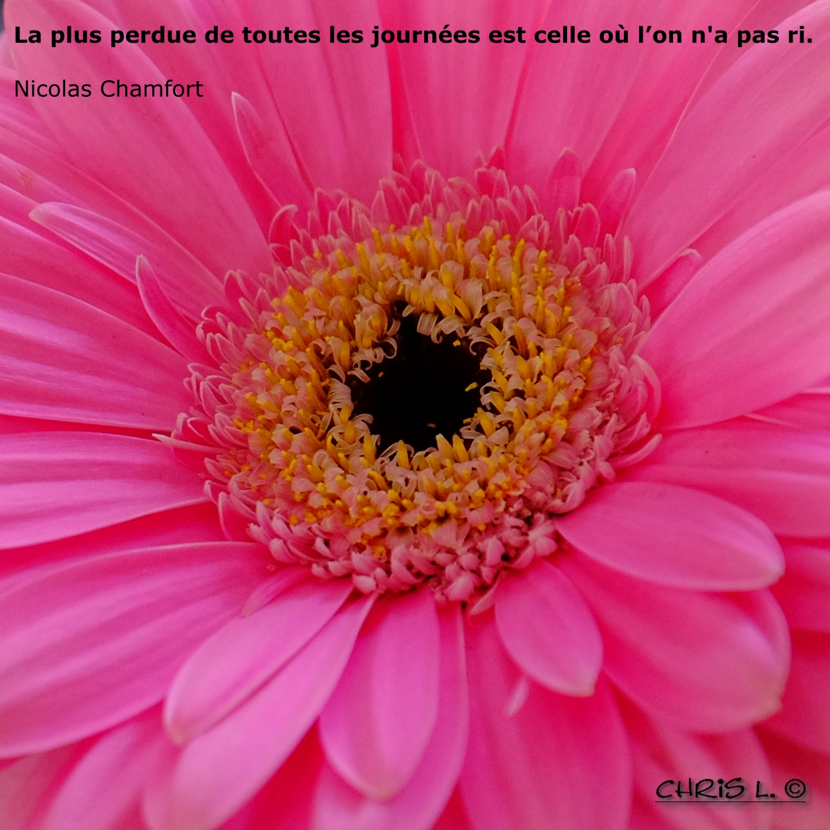 Je M clate Avec Mes 10 Doigts Citation Je M clate Avec Mes 10 Doigts Citation