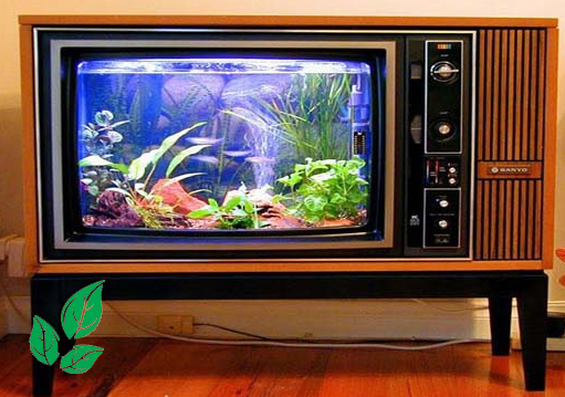 Model Akuarium Model Akuarium