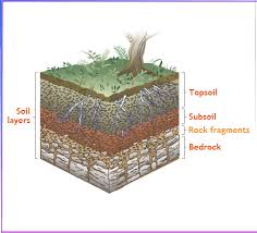  Struktur  Lapisan Tanah  Dan Penjelasannya Berbagi Struktur 