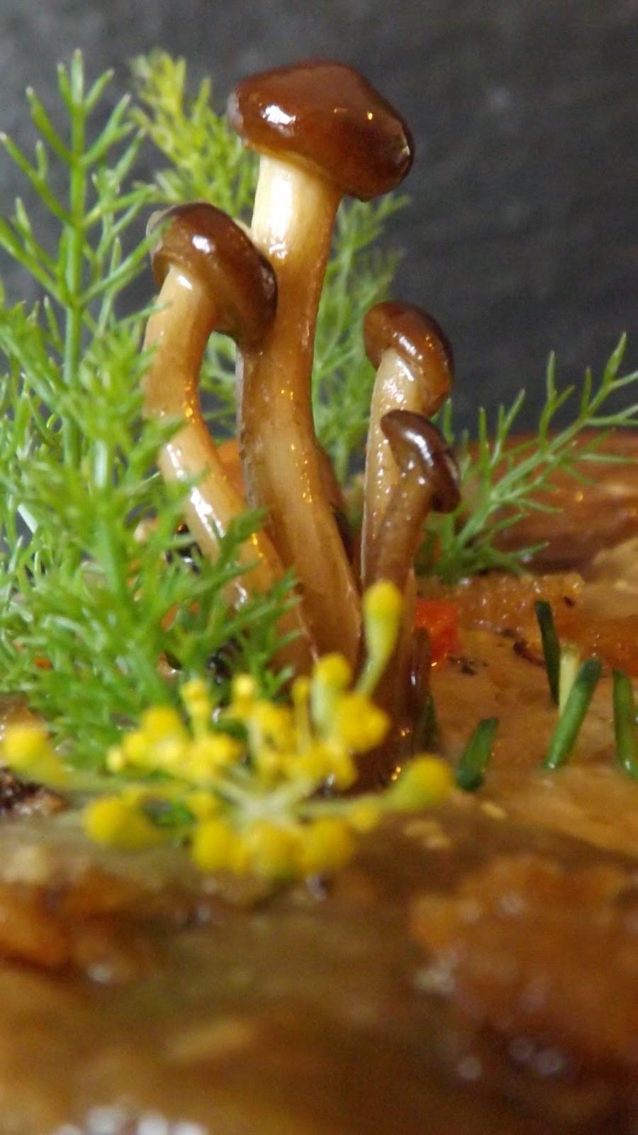 Shamira Gatta Passeggiata nel bosco ovvero risotto al parmigiano