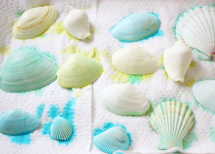 How to Dye Seashells Gina Michele Bloglovin’