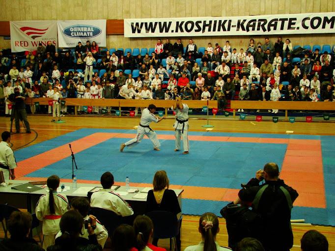 Чемпионат России по карате 2010