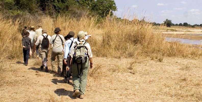 Congo Safari Congo Safari