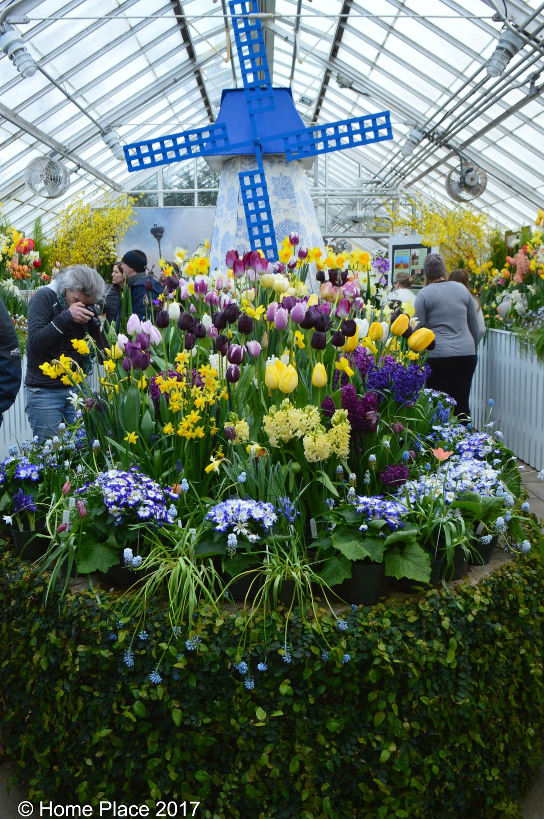 Home Place The Annual Spring Bulb Show at Smith College in Western