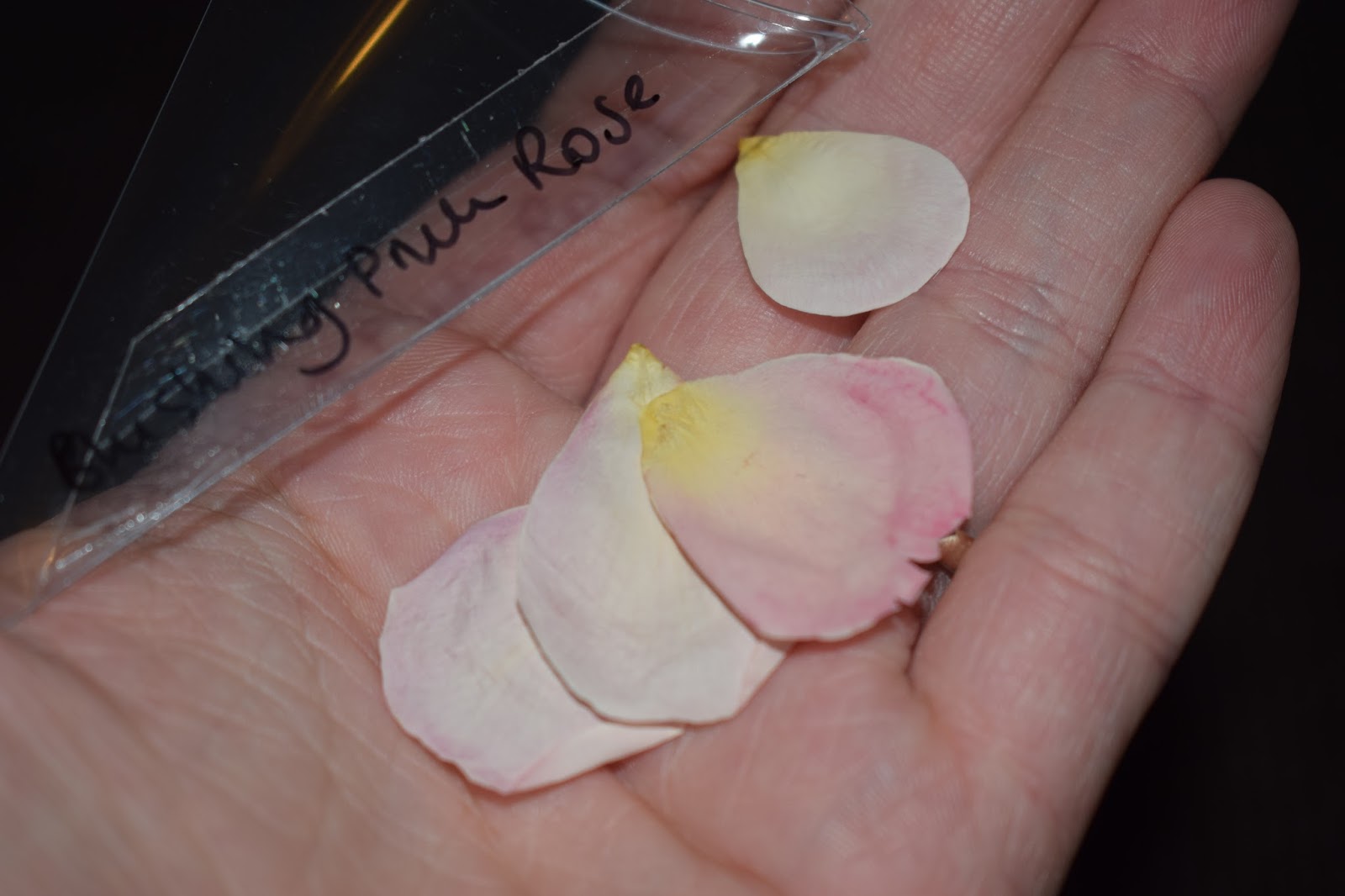 The Real Flower Petal Confetti Company Review Mummy Memories