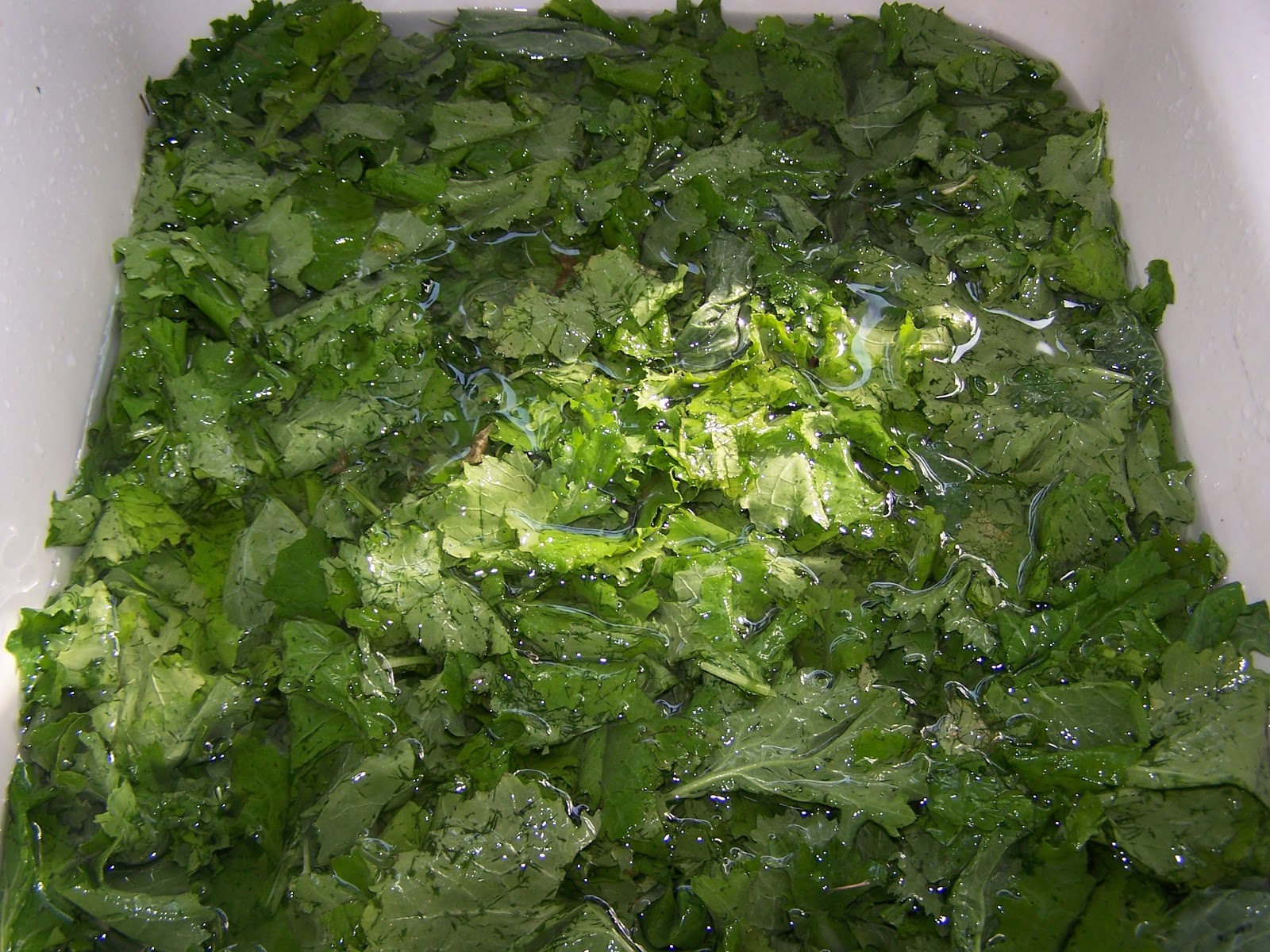 Fleur de Lolly Slow Cooked Kale with Smoked Ham Hock and Onions